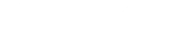 Asset